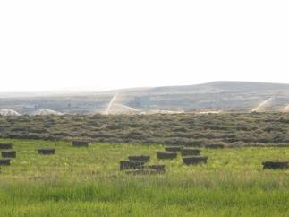 11149505_700523403403877_1423325422198053598_n